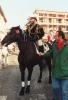 Il Generale Giovanetto Alberto durante la sfilata.