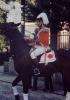 Luigino ha notato il fotografo e gira prontamente il cavallo verso l'obbiettivo!