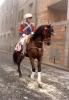 Moreno  ritratto in questa foto durante la sfilata a cavallo della domanica mattina