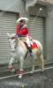 dscn2282_t1.jpg