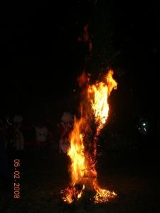 dscn2410.jpg