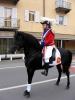 img_1876_t1.jpg