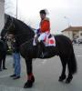 Marco Ardisssone