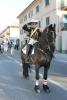 img_0318_800x1200_t1.jpg