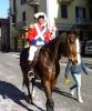 p1010406_997x1200_t1.jpg