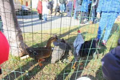 fagiolata2014_20.jpg