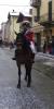 p1060136_387x768_t1.jpg