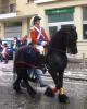 p1060150_614x768_t1.jpg