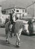 Il Segretario Piero Campiglie sfila a cavallo in pieno Olmetto